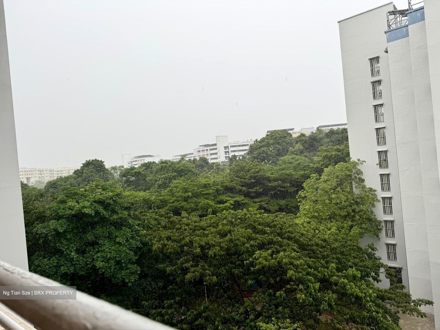 Blk 289 Tampines Street 22 (Tampines), HDB 5 Rooms #556967871